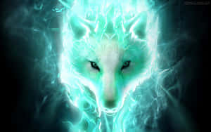 Super Cool Wolf — Astig na lobo Wallpaper
