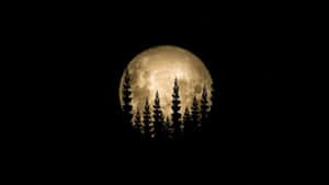 mga larawan ng kabilugan ng buwan — Moon Wallpaper