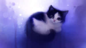 Mga larawan ng Cartoon Cat — Cartoon cat GIF Wallpaper