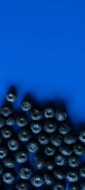 1080x2400 — Honor X5d Wallpaper