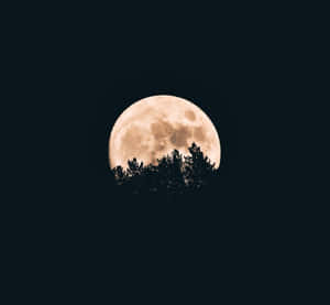 mga larawan ng kabilugan ng buwan — Buwan Gabi Langit Wallpaper