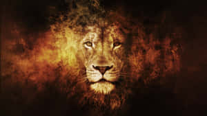 Lion background — Lion Wallpaper