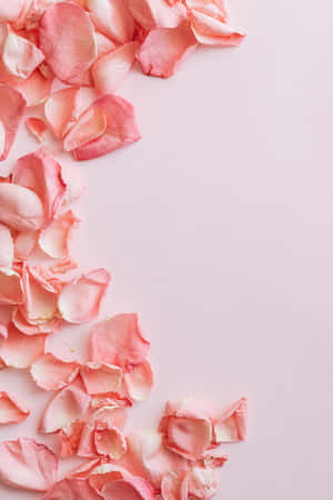 Rosas na Bulaklak na Background