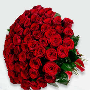 Mga larawan ng rosas — Rosas na Bulaklak Wallpaper