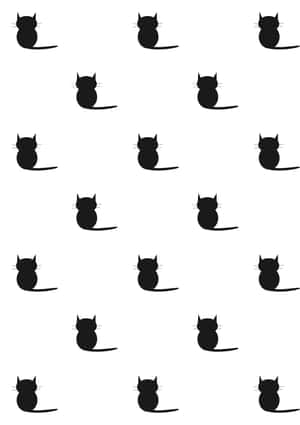 Mga larawan ng Itim na Pusa — Cat Noir Wallpaper