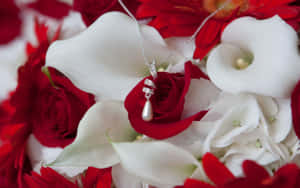 Mga larawan ng rosas — Rose Wallpaper