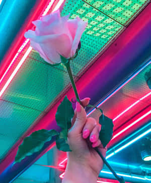Mga larawan ng Neon Aesthetic — Neon Green Aesthetic Wallpaper