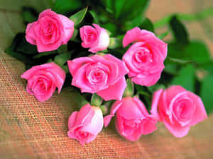 Mga larawan ng bulaklak na rosas — Rosas na Bulaklak Wallpaper
