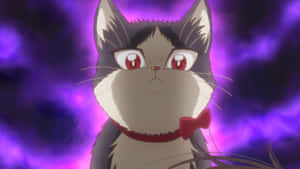Isang mapagmahal na sandali sa pagitan ng isang binata at kanyang pusa — Pusang anime Wallpaper