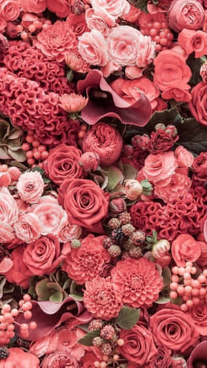 Rosas na Bulaklak — Pink Floral Wallpaper