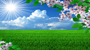 720p Background ng Tagsibol