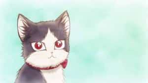 Isang Pusa sa Bahay na Nag-e-enjoy ng Oras kasama ang Isang Binatà na Lalaki sa Isang Kwarto — Pusang anime Wallpaper