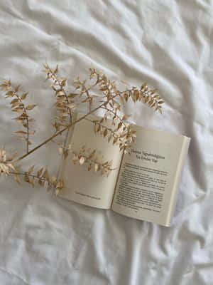 Book Aesthetic — iPad Air Wallpaper