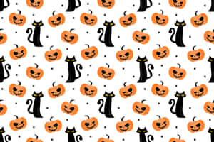 Mga larawan ng Itim na Pusa — Itim na Pusa Wallpaper