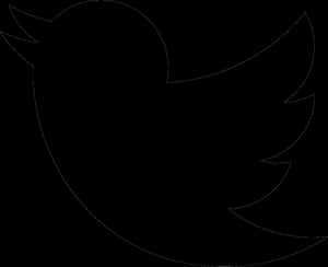 Maghanap ng Transparent Supportive Guru - Transparent Twitter Logo Png White
