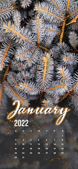 Punong pino ng Enero 2022 wallpaper — iPhone 16 Wallpaper