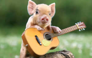 Background ng Kaibig-ibig na Baboy — Cute na baboy Wallpaper