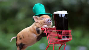 Cute Pig background — Cute na baboy Wallpaper