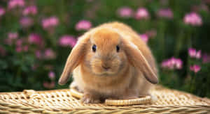 Kaibig-ibig na Easter Bunny at Makukulay na mga Itlog sa Masiglang Background ng Tagsibol
