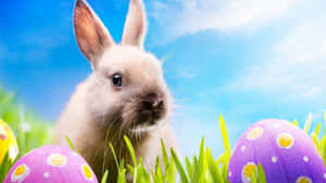 Kaibig-ibig na Easter Bunny at Makukulay na mga Itlog sa Masayang Background