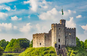 Kastilyo ng Cardiff na Napapaligiran ng mga Puno