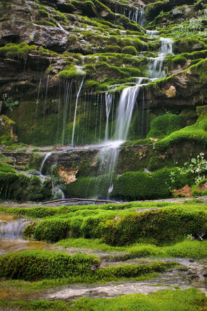 Kentucky Nature Landscape — Nature Wallpaper