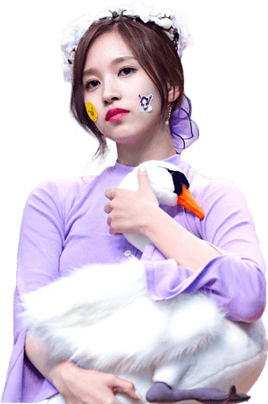Kpop Star na May Stuffed Swan