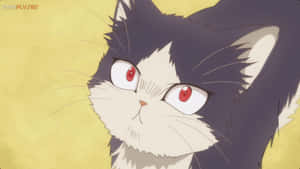 Larawan: Isang Japanese cartoon na imahe ng isang binatà na nagbabahagi ng payapà na sandali kasama ang kanyang alagang pusa. — Anime Wallpaper
