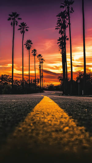 Larawan ng Daan ng Sunset Boulevard na wallpaper