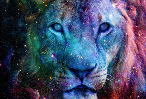 Wallpaper ng larawan ng lion na may galaxy — Galaxy lion GIF Wallpaper