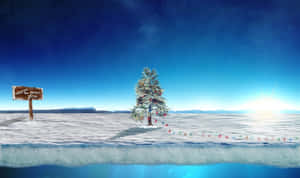 Mga Larawan ng North Pole — Sunrise Wallpaper