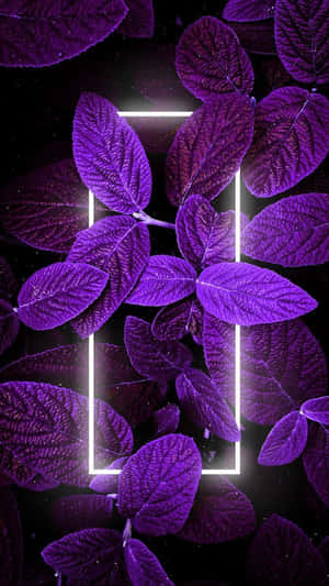 Mga larawang lilang aesthetic — Neon Wallpaper