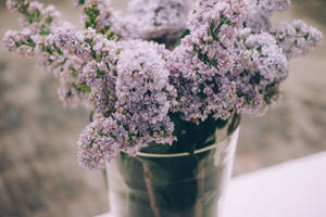 Lavender Aesthetic na Maliliit na Bulaklak sa Isang Plorera