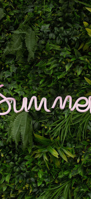 Summer Iphone Light On Greens — Floral iPhone Wallpaper