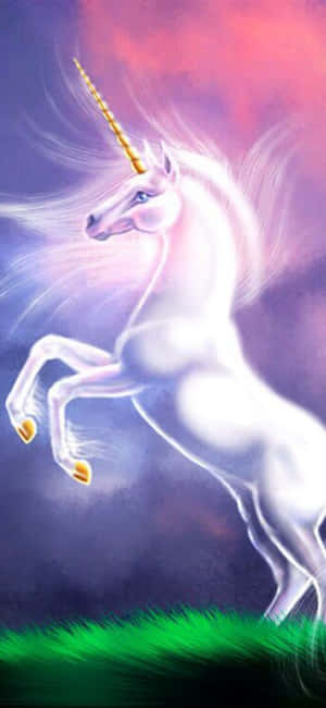 Unicorn Background — iPhone Xs Max Wallpaper