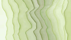Mga larawang may Sage Green Aesthetic