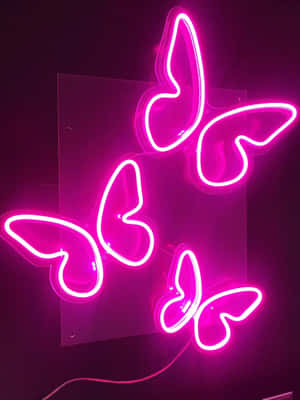 Neon Pink Aesthetic na mga larawan