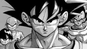 Mga larawan ng Dragon Ball — Dragon ball Wallpaper