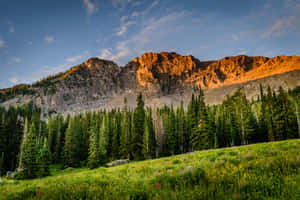 Mac background — MacBook Pro 14 Wallpaper
