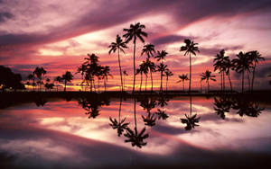 Macbook Air Island Sunset
