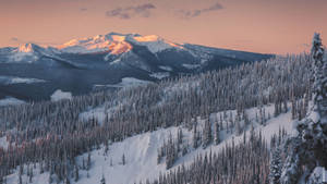 Snowy mountain range ng British Columbia na may pine trees para sa MacBook Pro wallpaper.