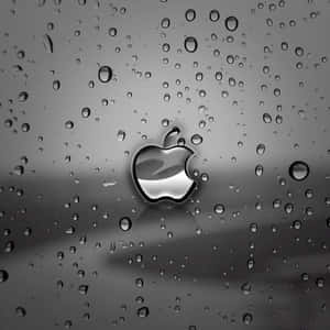 Madilim na Cute na Ipad