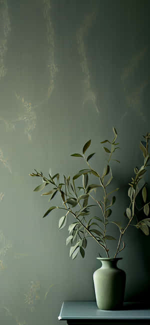 Sage Green Aesthetic pictures