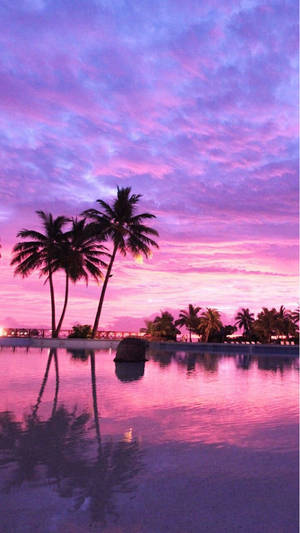 Magandang Aesthetic Pink Tropical na Lugar wallpaper — Maganda aesthetic Wallpaper
