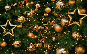 Magandang Christmas Tree na May Gintong Dekorasyon — Christmas Tree Wallpaper