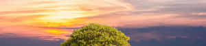 4k Likuran ng Kalikasan — 4K kalikasan GIF Wallpaper