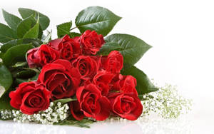 Magandang Palumpon ng Pulang Rosas — Rosas na Bulaklak Wallpaper