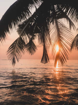 Background ng Paglubog ng Araw sa Dalampasigan — Paglubog ng araw sa tabing-dagat Wallpaper