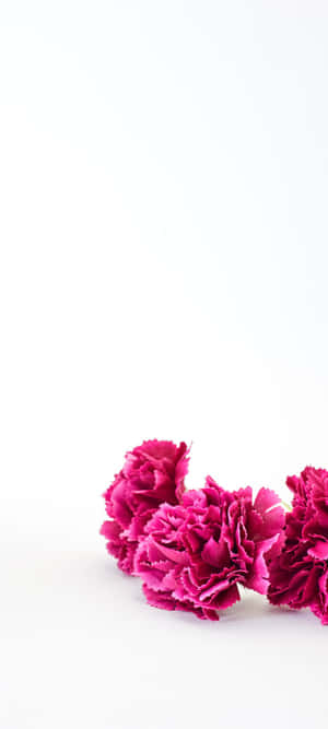 1080x2400 — iPhone 18 Pro Max Wallpaper