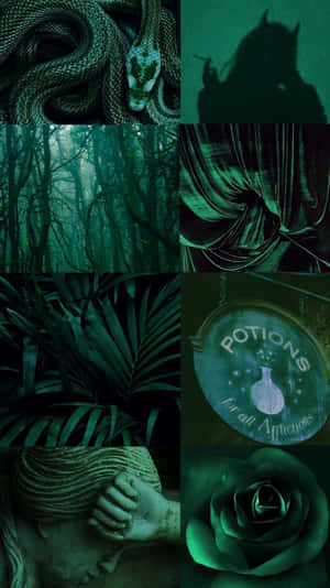 Mahiwagang Madilim na Luntiang Kagubatan — Dark green aesthetic Wallpaper